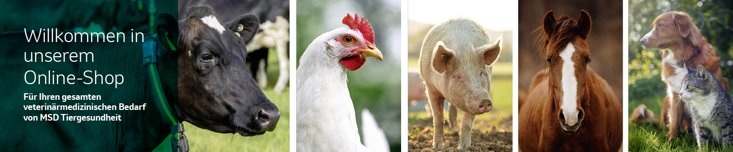 MSD Animal Health Logo